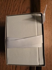 Vera Wang Wish Ring Box in Travel Case NEW In Box Never Used