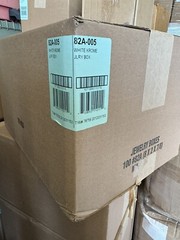 White Cotton Filled Jewelry Cardboard Box (Case of 100) BRAND NEW 8 X 2 X 7/8