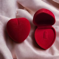 Elegant Red Velvet Heart-Shaped Ring Box – Simple & Fancy FREE SHIPPING