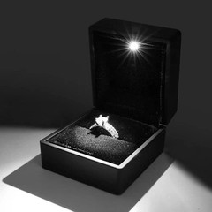 LED Ring Box Jewelry Case Engagement Wedding For Women Gifts Box USA