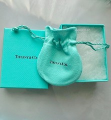 Tiffany & Co Empty 3.75″ x 3″ x 1.5″ Blue Gift Box/Travel Pouch 2pc set