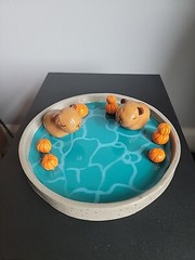 Capybaras Jewlery Dish
