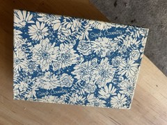 Vintage Sarah Coventry Blue&white Floral Travel Jewelry Box Case