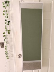 Mirror Jewelry Organizer w/8 LEDs, Lockable Wall/Door Mount